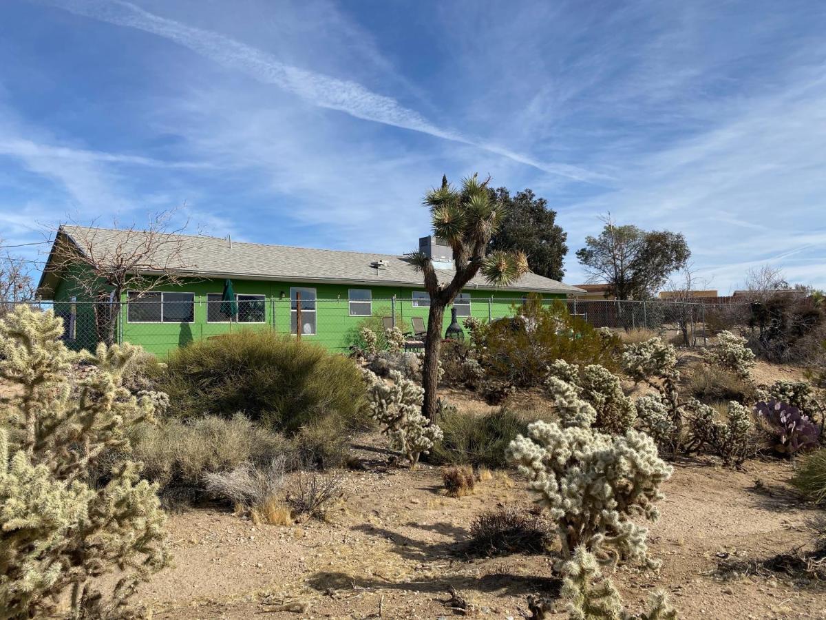 Desert Oasis - Joshua Tree Peaceful Retreat Home Yucca Valley Eksteriør billede